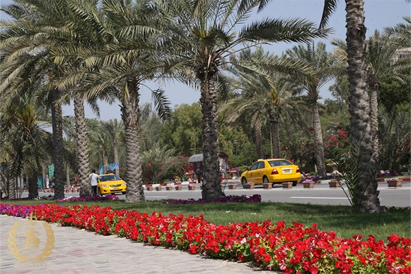 قوانین رانندگی و جذابیت های رانندگی در کیش چیست؟ 4 ویژگی های خاص شهروندان کیش :