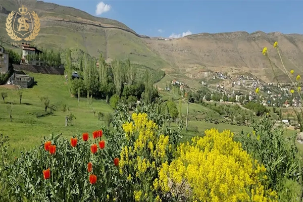 تنوع گیاهی در دشت مشا